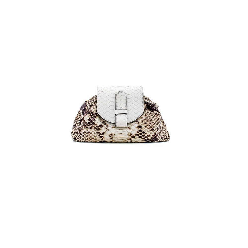 Elegant Snakeskin Clutch